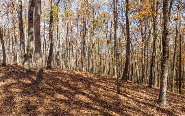 19R Settlement Trail, Ellijay, GA 30536