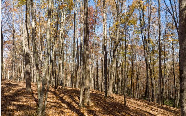 19R Settlement Trail, Ellijay, GA 30536