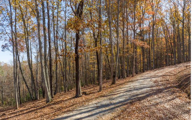 19R Settlement Trail, Ellijay, GA 30536