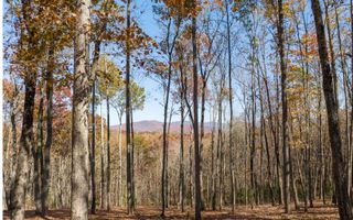 19R Settlement Trail, Ellijay, GA 30536