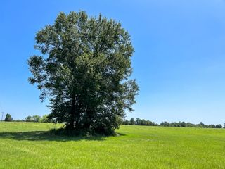 17 County Road 3630, Lovelady, TX 75851