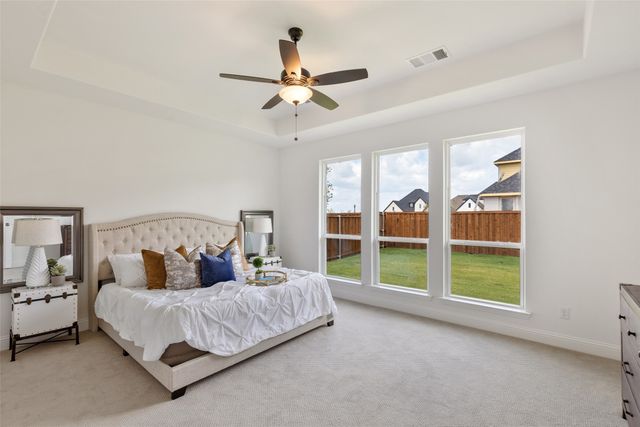 2380 Rainforest Drive, Prosper, TX 75078