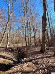 0 COUNTY ROAD 432, Newell, AL 36280