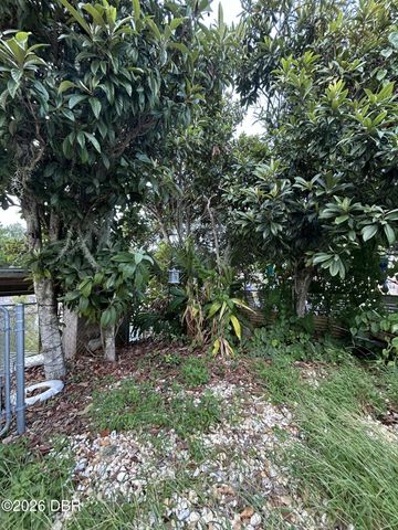 165 Lewis Street, Edgewater, FL 32141