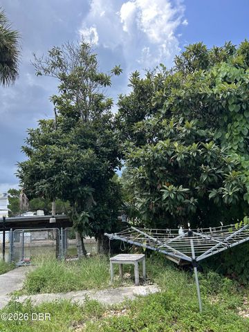 165 Lewis Street, Edgewater, FL 32141