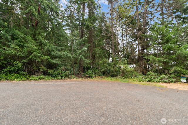 10718 Trout Place, Anderson Island, WA 98303