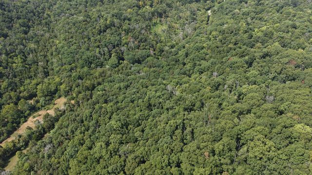 661 Red Tuttle Rd, Bethpage, TN 37022
