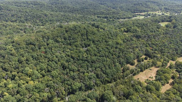 661 Red Tuttle Rd, Bethpage, TN 37022