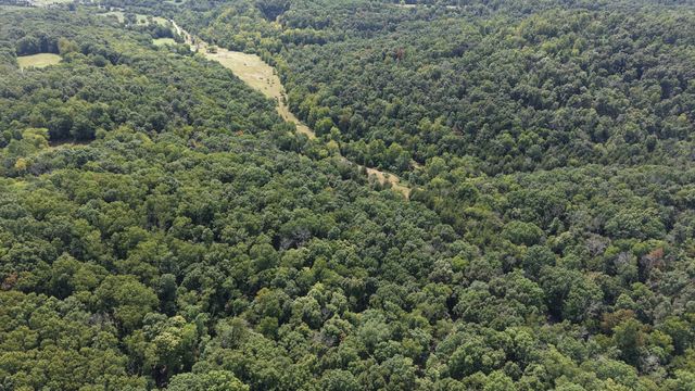 661 Red Tuttle Rd, Bethpage, TN 37022