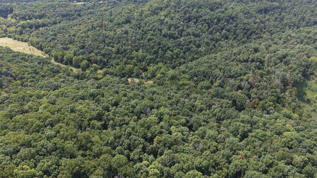 661 Red Tuttle Rd, Bethpage, TN 37022