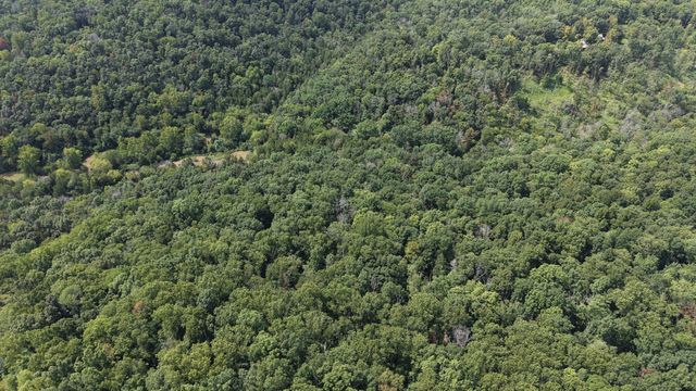 661 Red Tuttle Rd, Bethpage, TN 37022