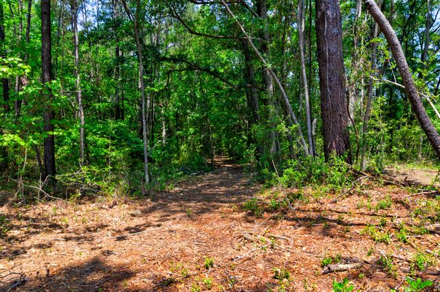 1810 Turkey Pen Road, Charleston, SC 29412