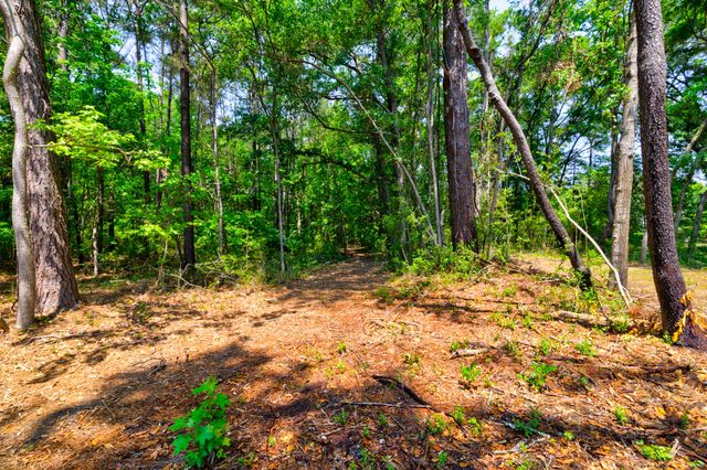 1810 Turkey Pen Road, Charleston, SC 29412