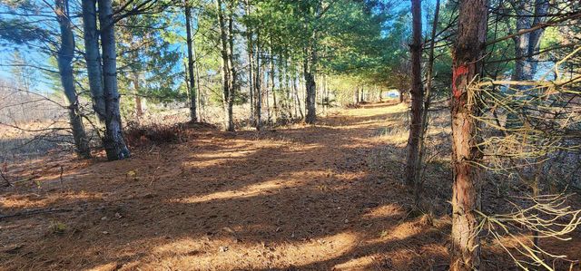 8838 N Deyoung Road, Lake City, MI 49651