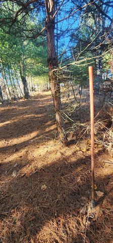 8838 N Deyoung Road, Lake City, MI 49651