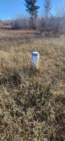 8838 N Deyoung Road, Lake City, MI 49651