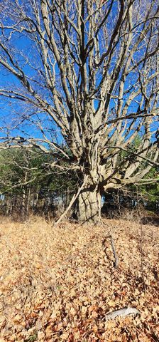 8838 N Deyoung Road, Lake City, MI 49651