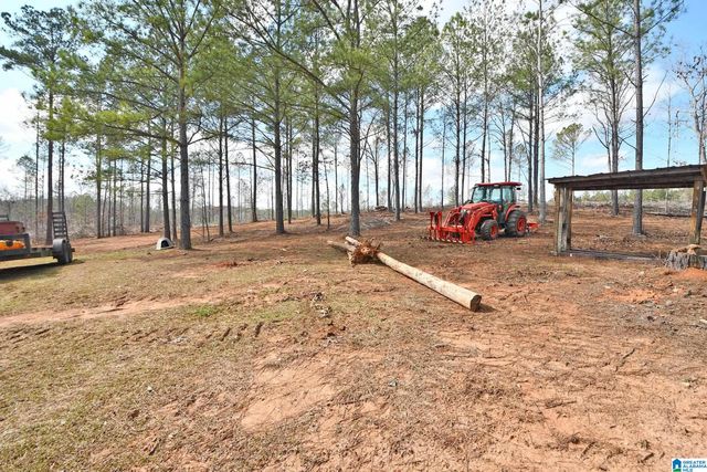 141 COUNTY ROAD 823, Wadley, AL 36266