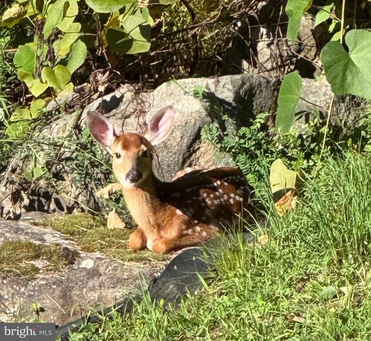 10620 KYPER RD, Huntingdon, PA 16652