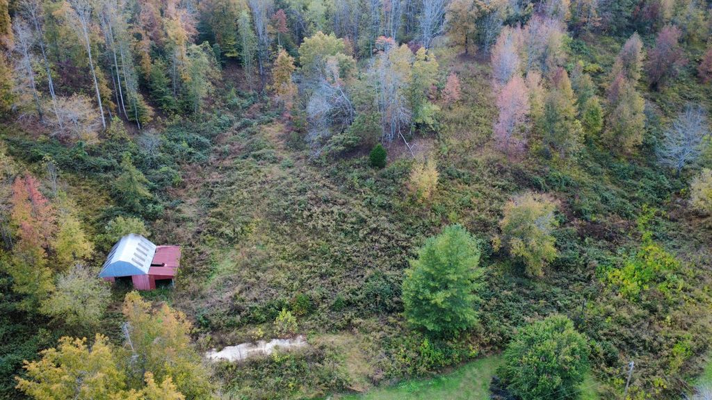 440 Big Spring Hollow Rd, Pulaski, TN 38478