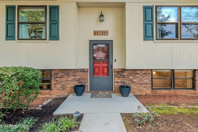 7803 Binfield Court, Powell, TN 37849