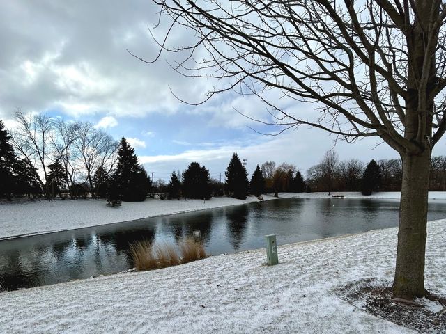 397 Cascade Lane 397, Oswego, IL 60543