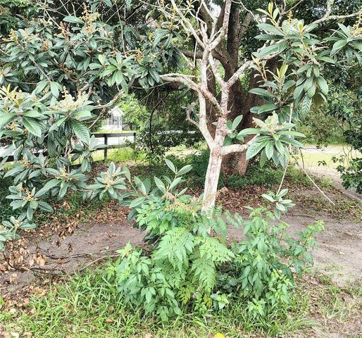 27401 MAIN AVENUE, Okahumpka, FL 34762
