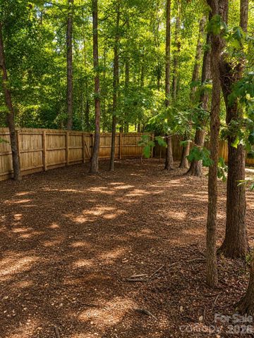 3327 Hard Rock Court, Indian Trail, NC 28079