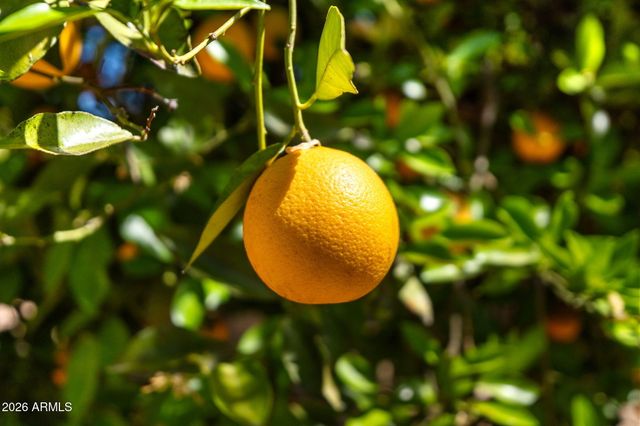 3126 E GARY Street, Mesa, AZ 85213