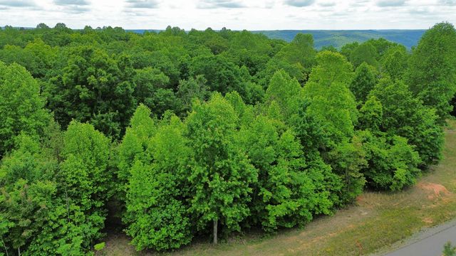 0 Whiskey Way, Jasper, TN 37347