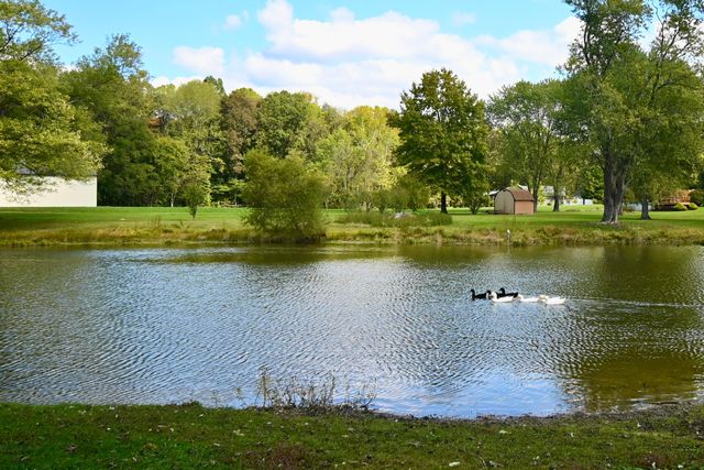 284 Pond Gap Road, Butler, KY 41006