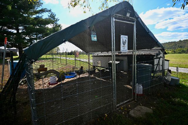 284 Pond Gap Road, Butler, KY 41006