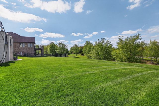 11022 Fawn View Circle, Orland Park, IL 60467