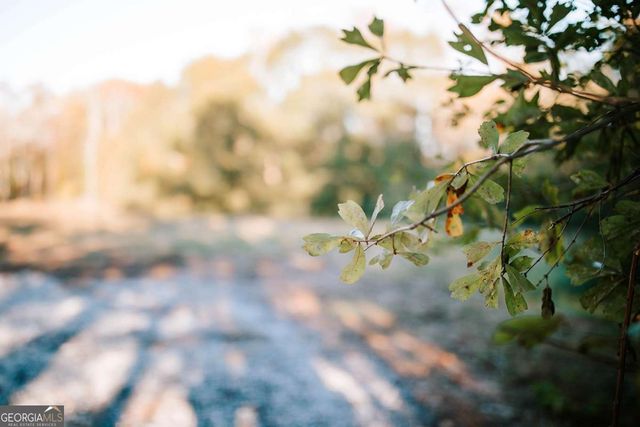 TRACT 7 Robert Hardeman, Winterville, GA 30683