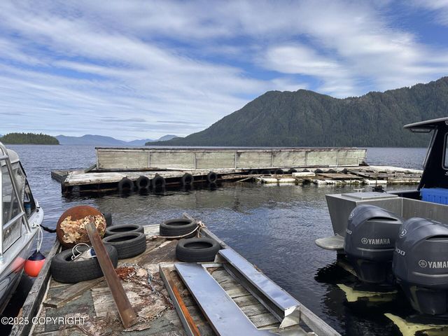 nhn Legal only, Remote, AK 99901