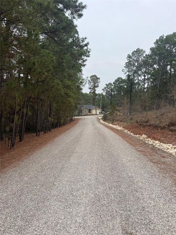 105 Waialua CT, Bastrop, TX 78602