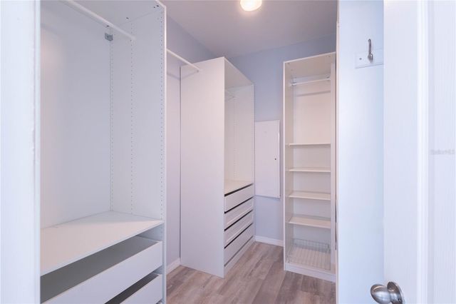 11415 BLUE CRANE STREET, Riverview, FL 33569