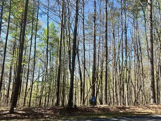 Lot 92 Doll Mountain Road, Ellijay, GA 30540