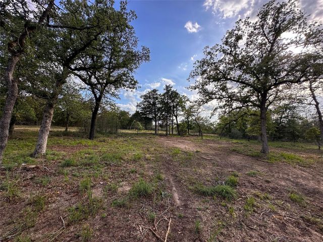 368 Woodlands DR, Bastrop, TX 78602