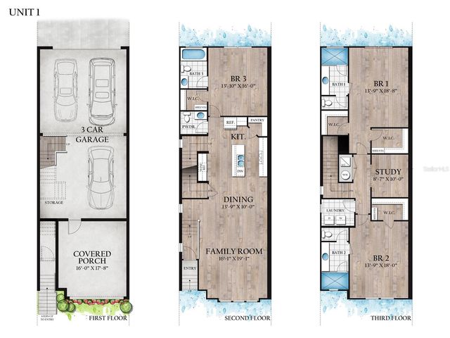 203 DANUBE AVENUE 1, Tampa, FL 33606