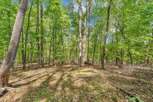 159 Lakeshore Terrace RD, Hardy, VA 24101