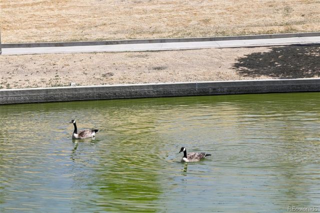 14883 E Maple Place, Aurora, CO 80012