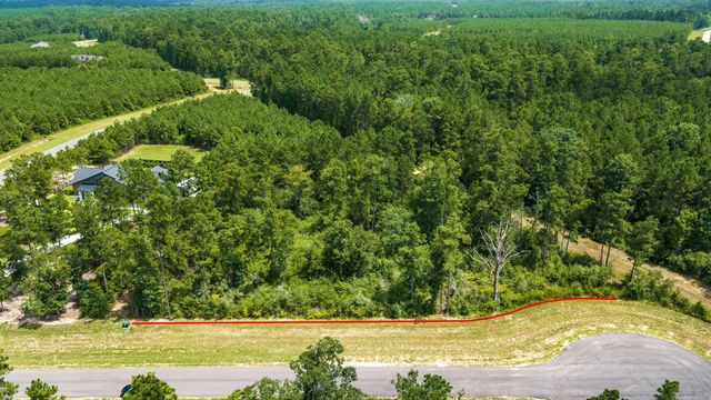 15808 Integrity Drive, Willis, TX 77378