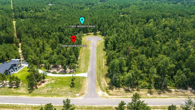 15808 Integrity Drive, Willis, TX 77378