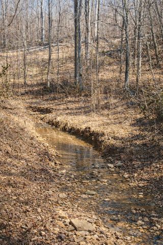 664 Russ Valley Rd, Lobelville, TN 37097