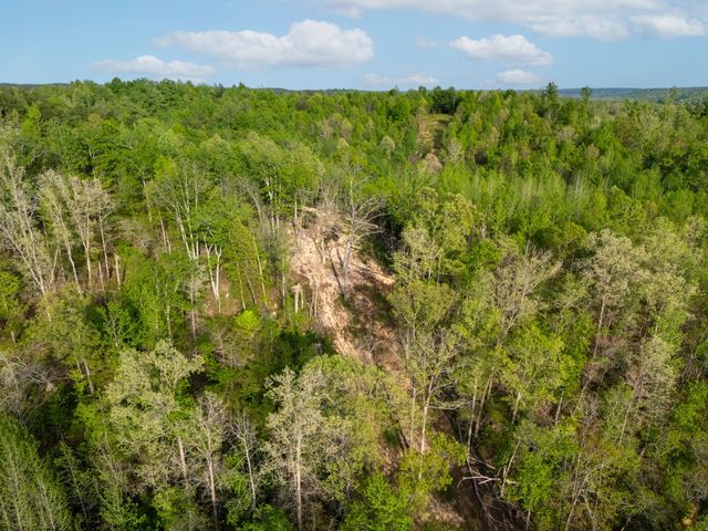 664 Russ Valley Rd, Lobelville, TN 37097