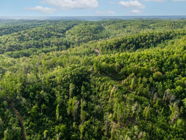 664 Russ Valley Rd, Lobelville, TN 37097