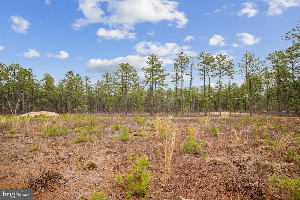 0 SAVOY BLVD #LOT 00001, Chatsworth, NJ 08019