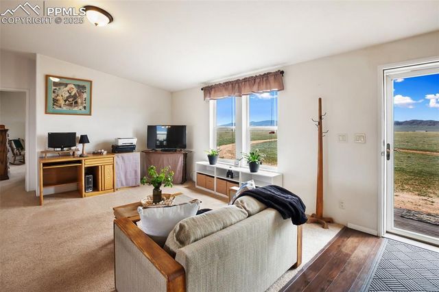 463 Snowshoe Lane, Lake George, CO 80827