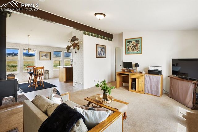 463 Snowshoe Lane, Lake George, CO 80827